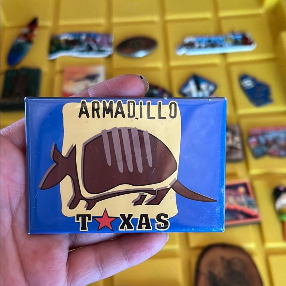 Armadillo Texas Magnet